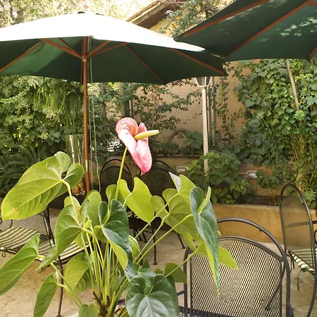 Hotel Villa Delle Rose
