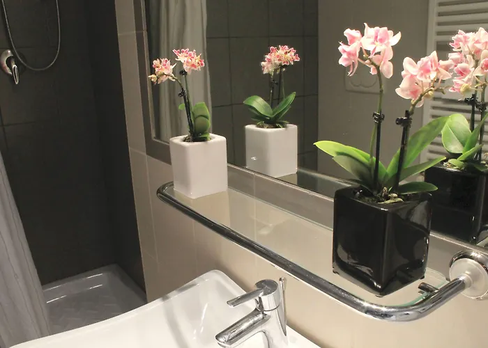 Delle Rose Hotel 3*