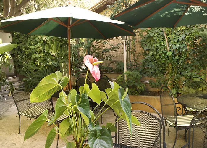 Delle Rose 3*