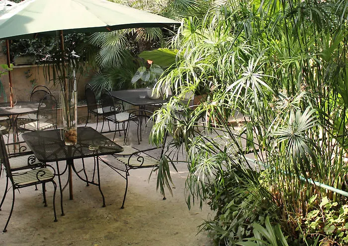 Hotel Delle Rose Rom